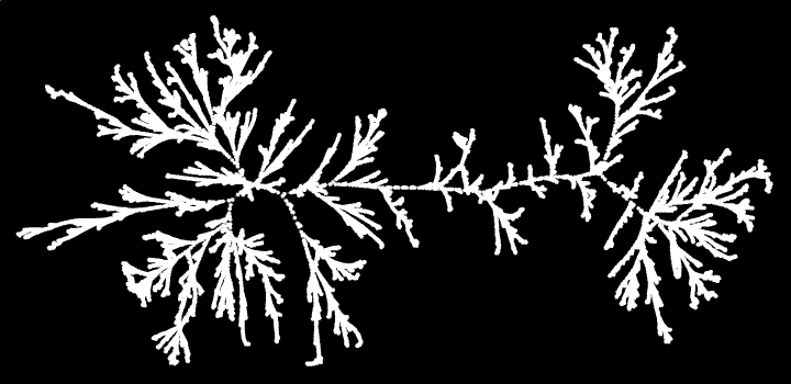 collatz_mathematica_13.gif