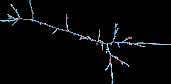 collatz_mathematica_6.gif